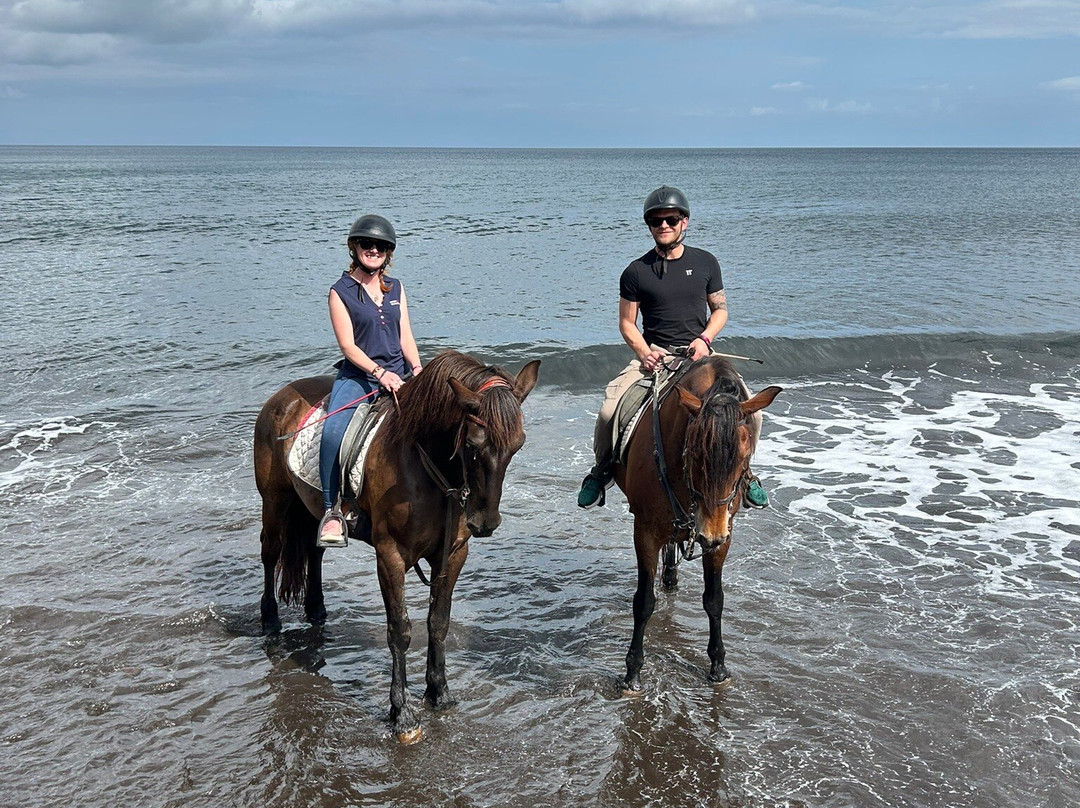 Lanzarote a Caballo-兰萨罗特必去景点