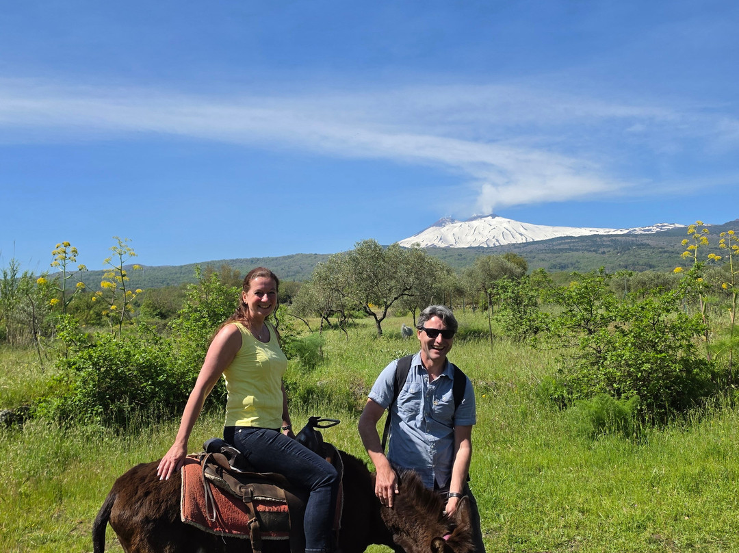 Etna Donkey Trekking-林瓜格洛萨必去景点