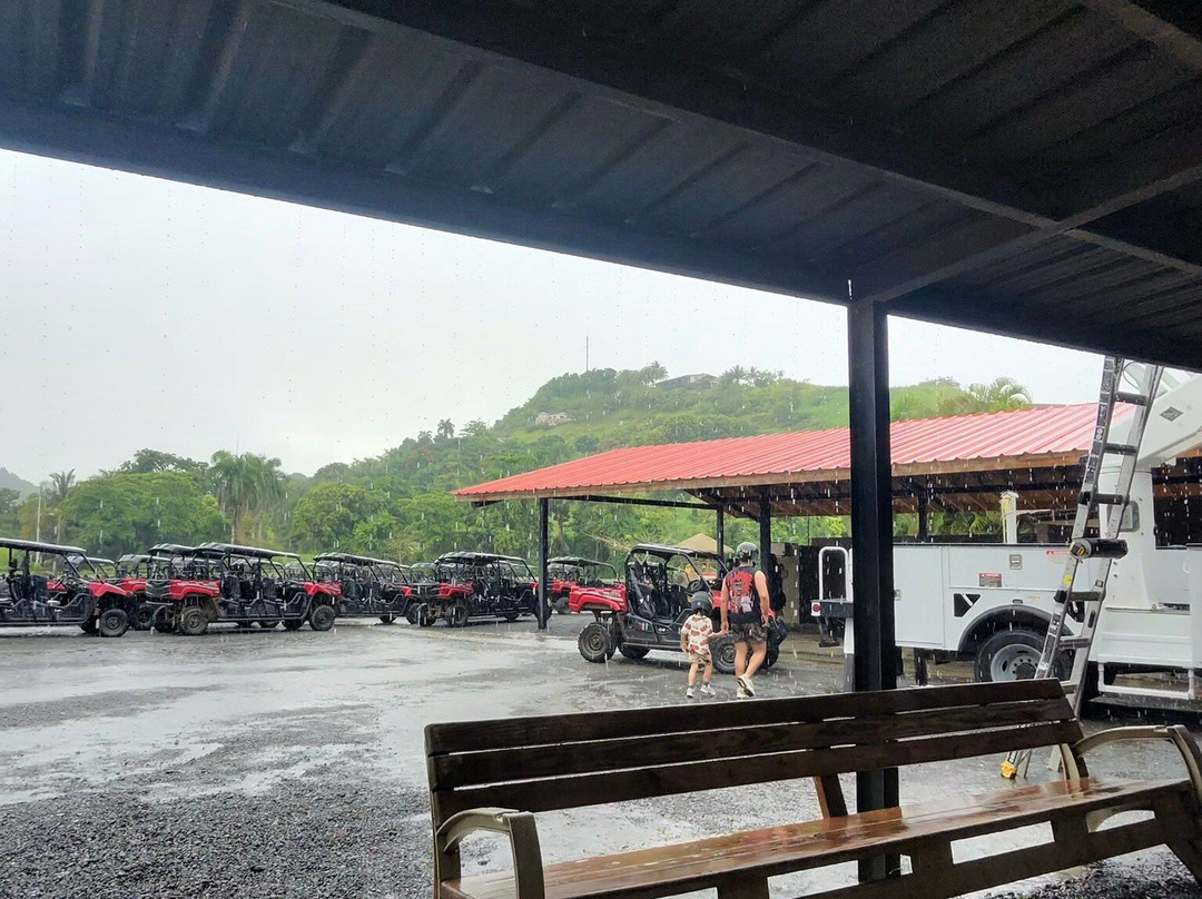 Rainforest & Ocean View Inn at Hacienda Carabali主图