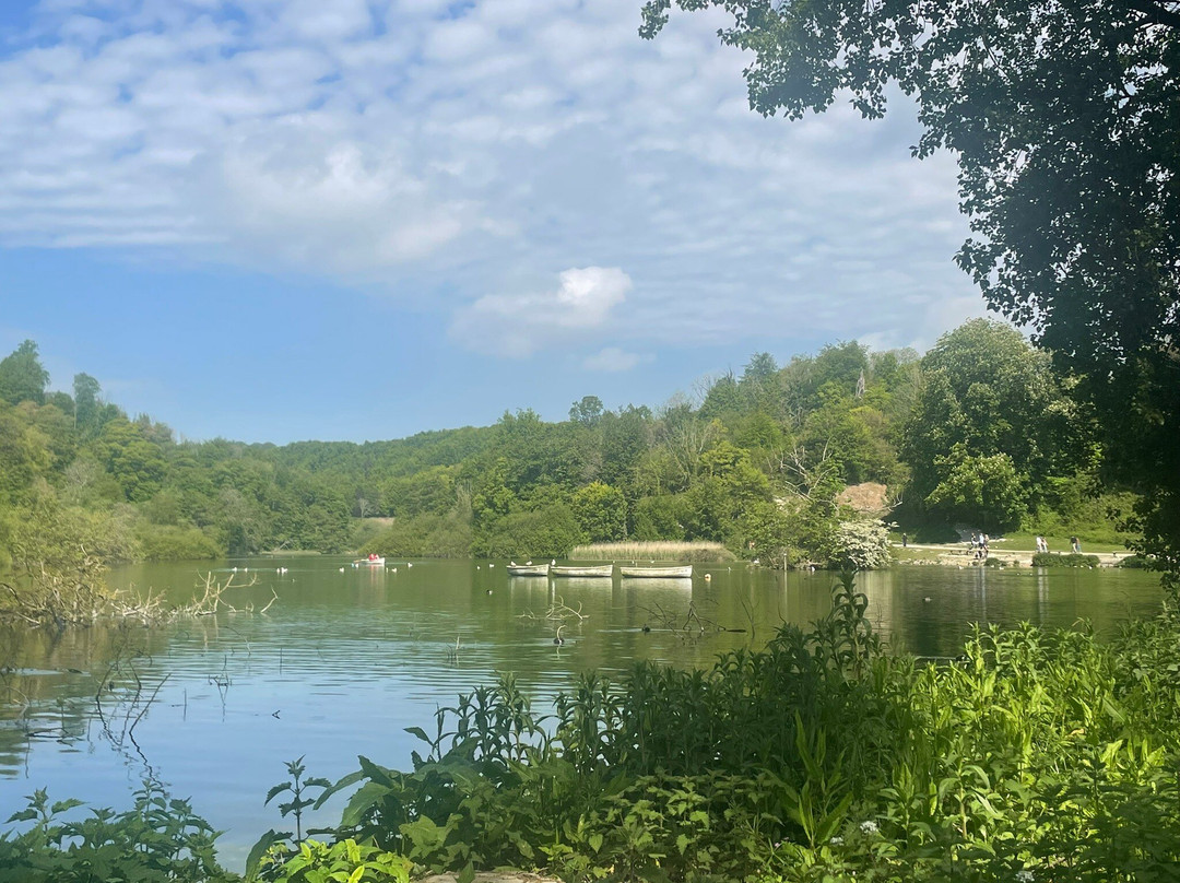 Swanbourne Lake-阿伦德尔必去景点