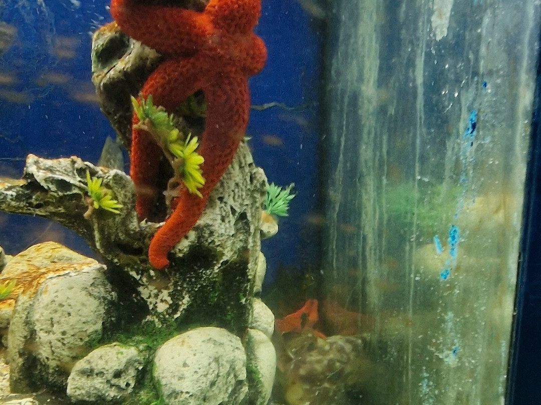 Aquarium Of Faliraki (Aquaworld)-Faliraki必去景点