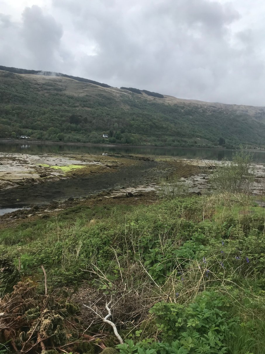 凯尔恩道驿站马车旅馆-旅行者