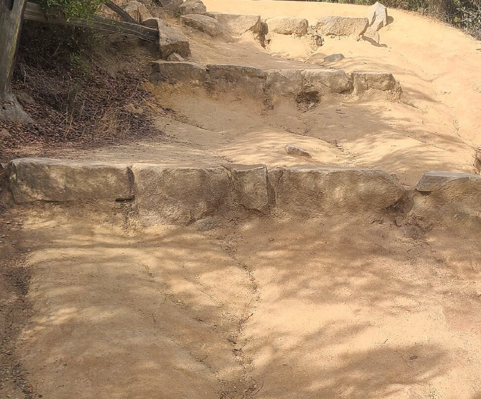 Elfin Forest Recreational Reserve-埃斯孔迪多必去景点