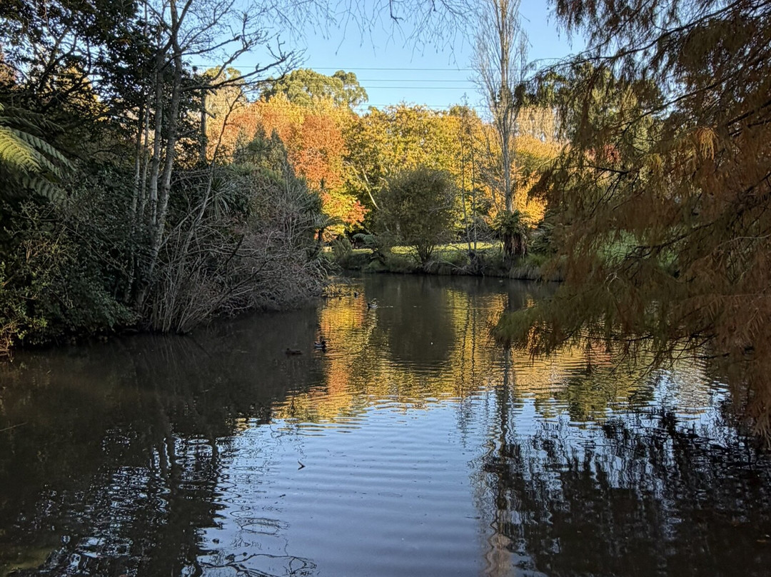 Taitua Arboretum-汉密尔顿必去景点