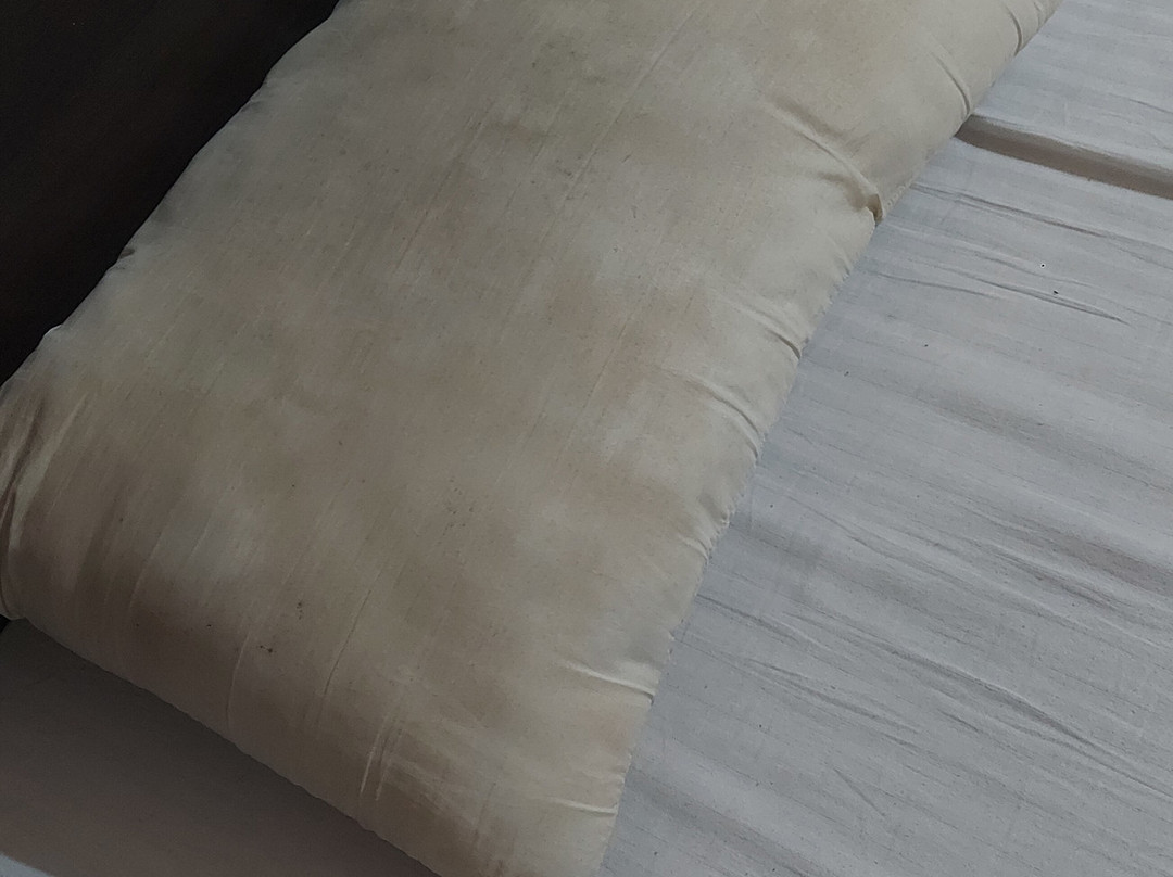Makrana Raj Hotel主图
