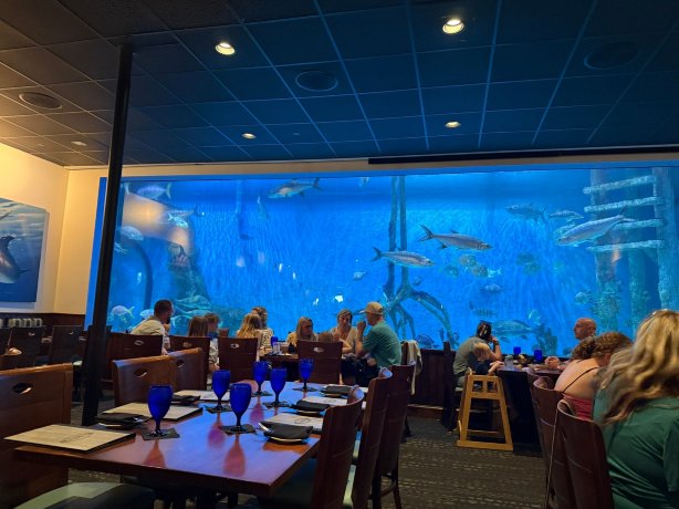 RumFish Beach 在 TradeWinds-旅行者