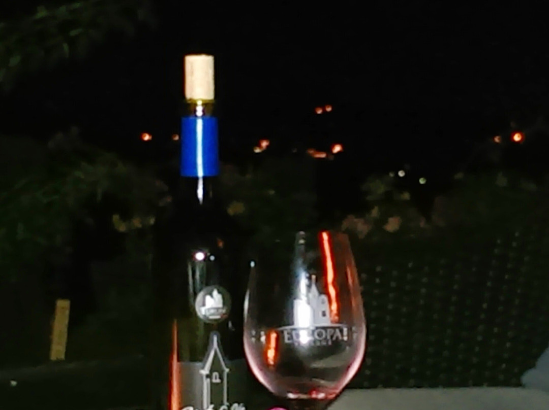 Europa Village Winery-特曼库拉必去景点