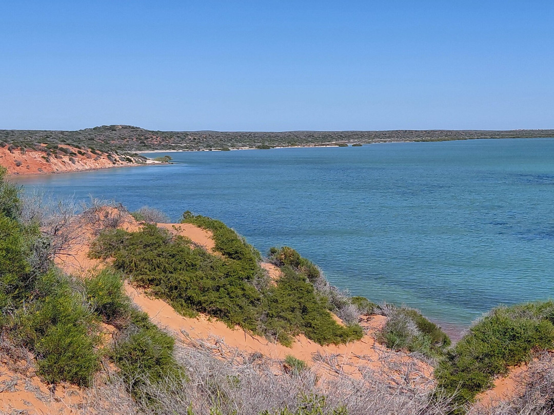 Shark Bay Coastal Tours-德纳姆必去景点