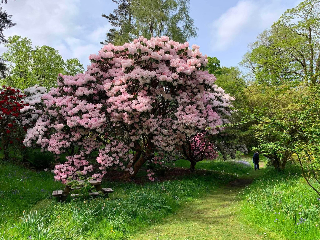Geilston Garden-Dumbarton必去景点
