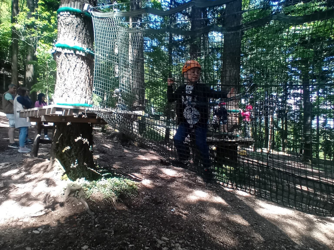 Jungle Raider Park-Albavilla必去景点