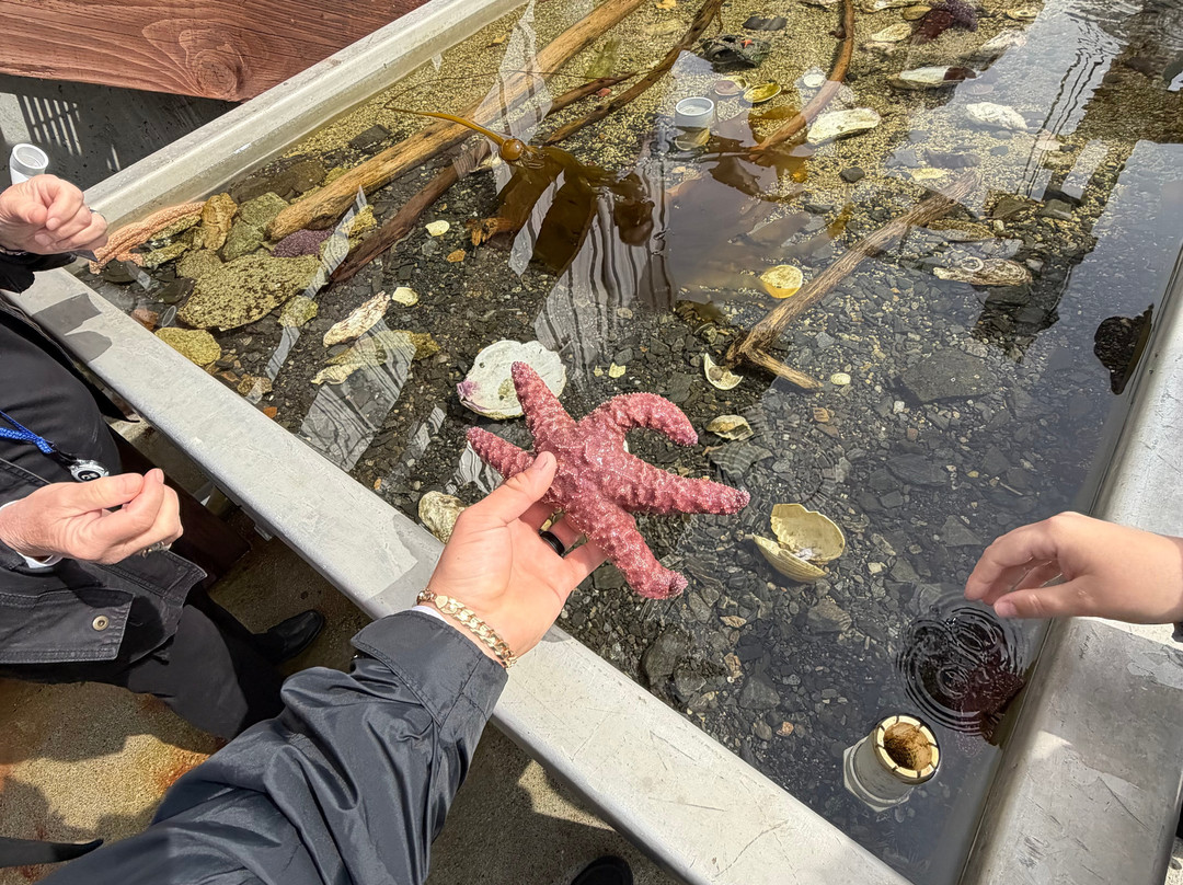 Hump Island Oyster & Kelp Farm with Tasting-凯奇坎必去景点