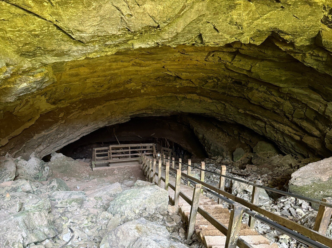 Hidden River Cave and American Cave Museum-Horse Cave必去景点