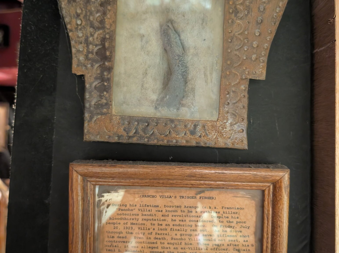 The Viktor Wynd Museum of Curiosities, Fine Art & UnNatural History-伦敦必去景点