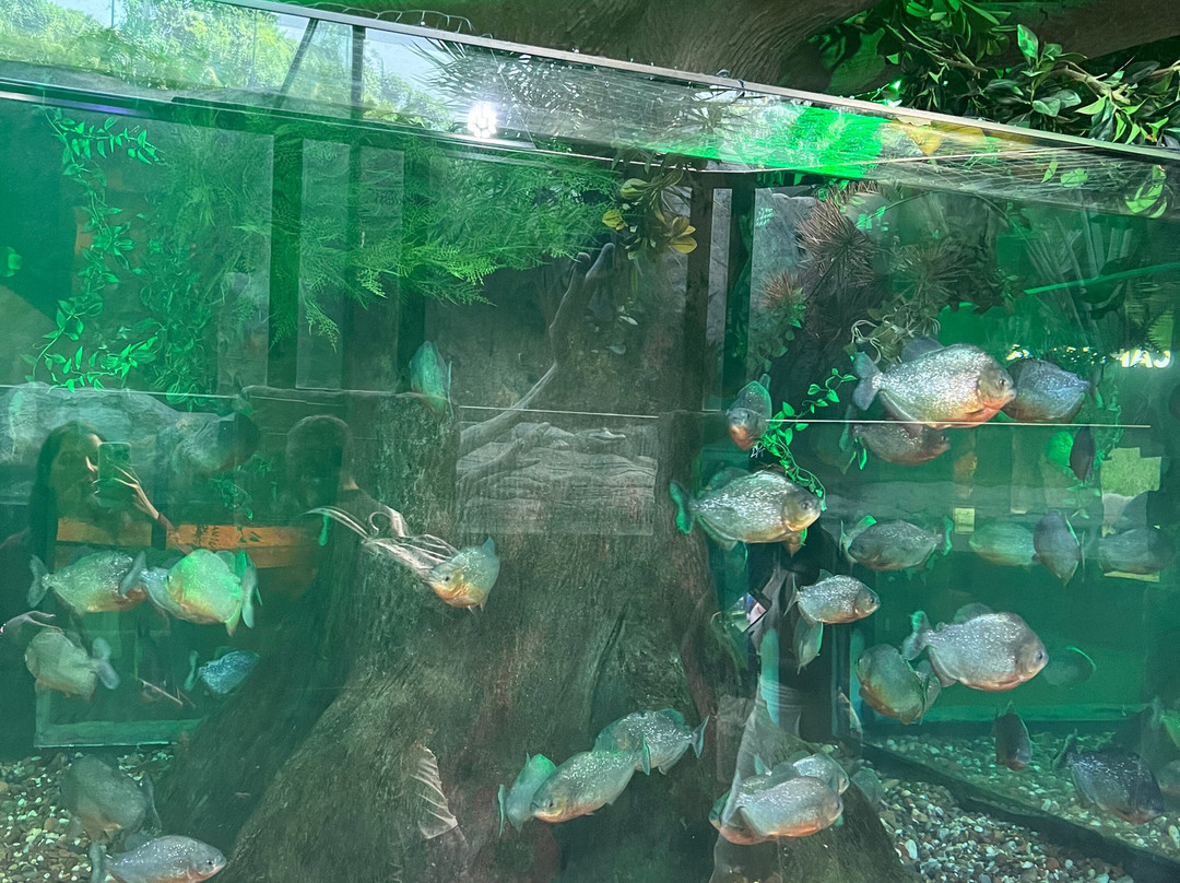 Oceanic Aquarium-康泊琉海水浴场必去景点