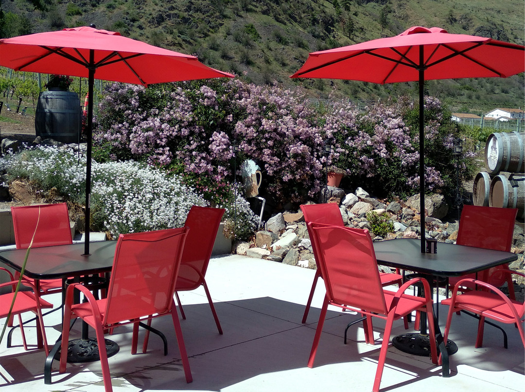 Castoro De Oro Estate Winery-Oliver必去景点
