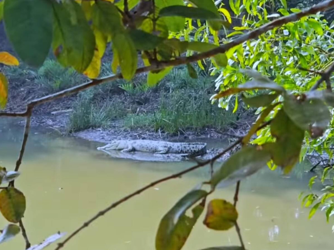 Bhitarkanika Wildlife Sanctuary-Bhitarkanika National Park必去景点