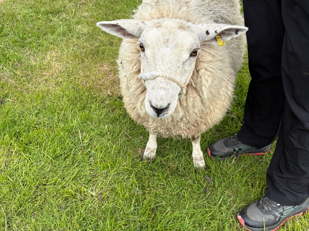 Craigbank Farm-Kilmarnock必去景点