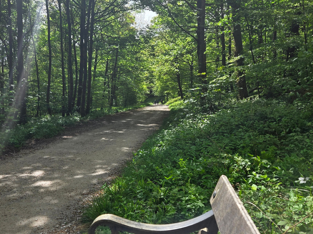 Ingleborough Estate Nature Trail-Clapham必去景点