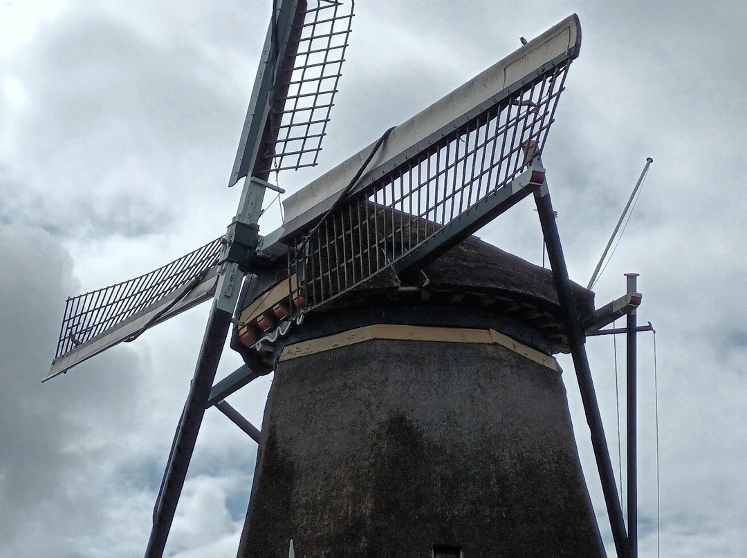 Korenmolen "De Ruiter"-Vreeland必去景点