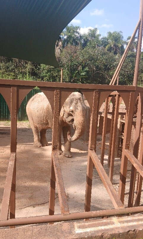 Zoologico De Sao Paulo-圣保罗必去景点