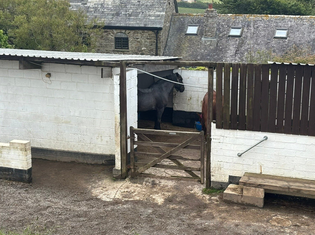 Reen Manor Riding School-佩伦波思必去景点