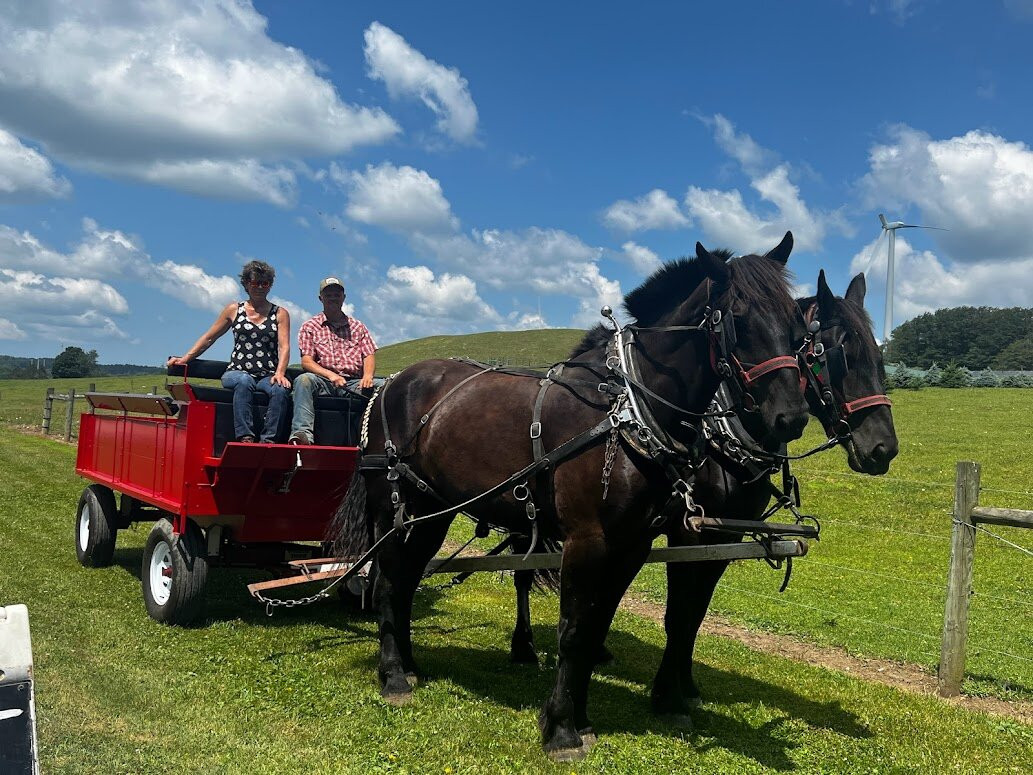 Wolcott Farms