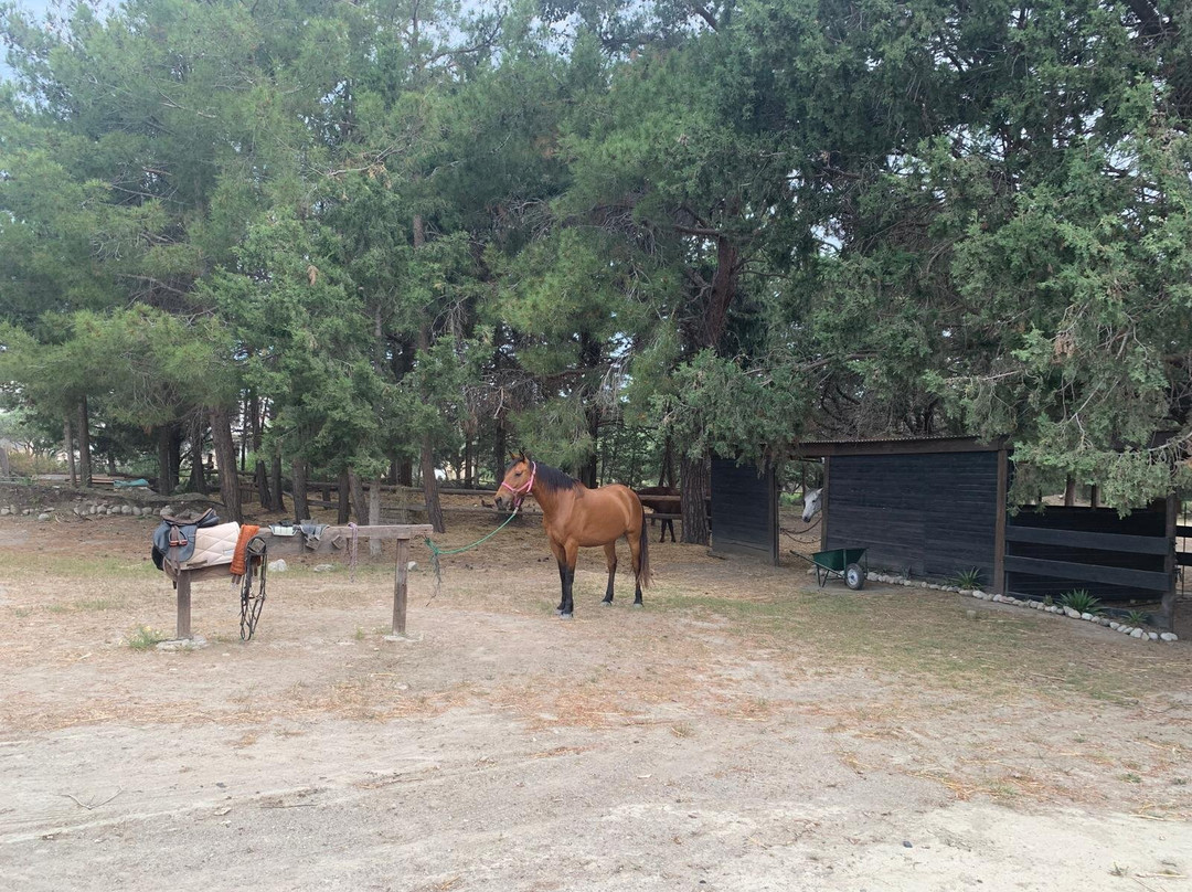 Rocking Horse Ranch-Gennadi必去景点