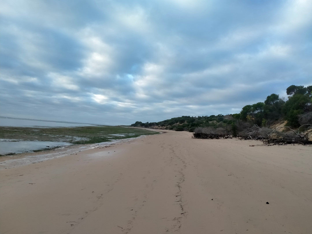 Cape Woolamai Walk-Cape Woolamai必去景点