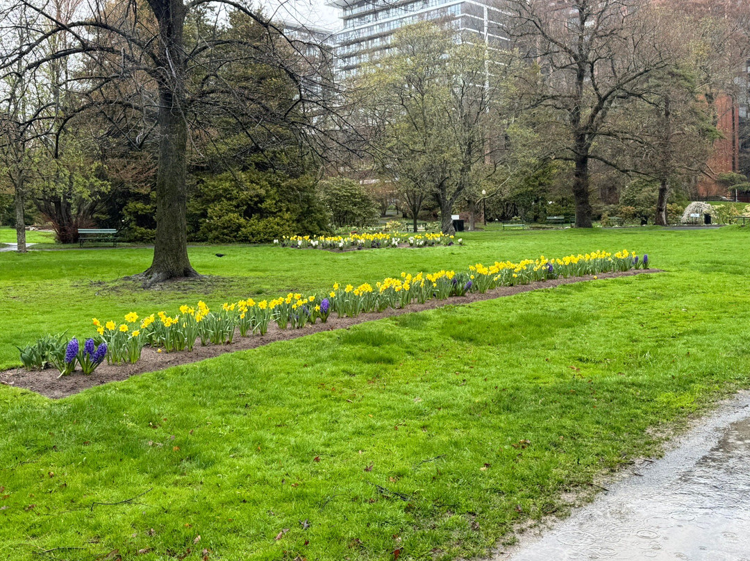 Halifax Public Gardens-哈利法克斯必去景点