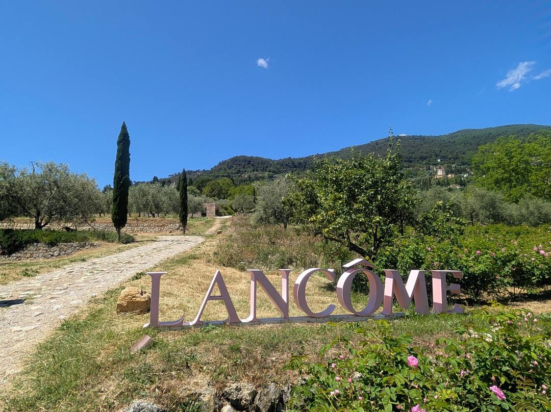 Domaine De La Rose Lancôme-Chateauneuf de Grasse必去景点