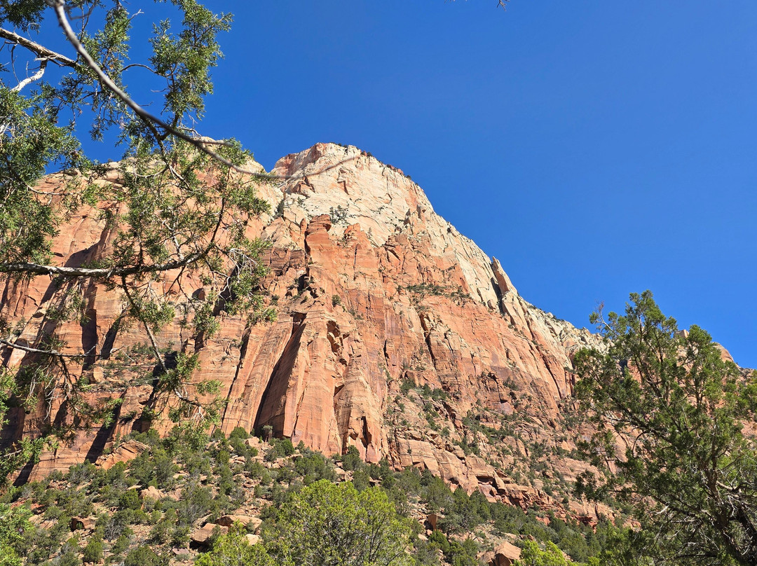 Canyon Trail Rides-锡安国家公园必去景点