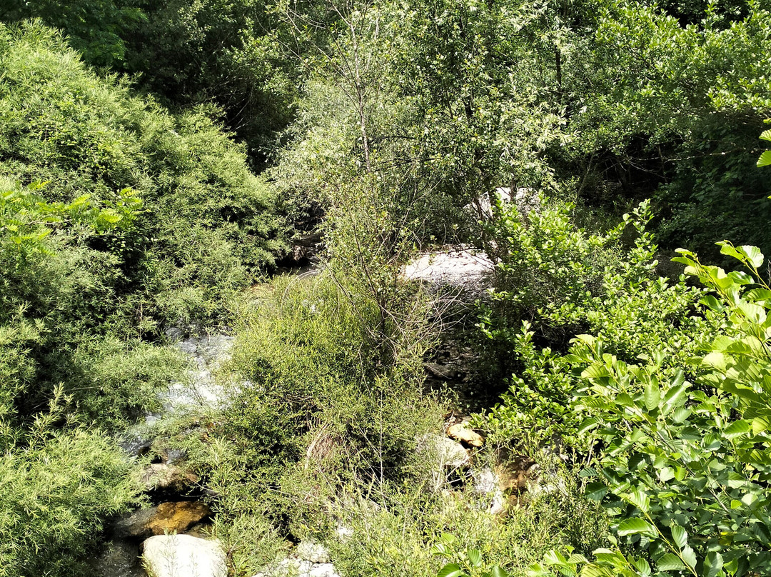 Sorgenti e Gole Del Fiume Sammaro-Roscigno必去景点