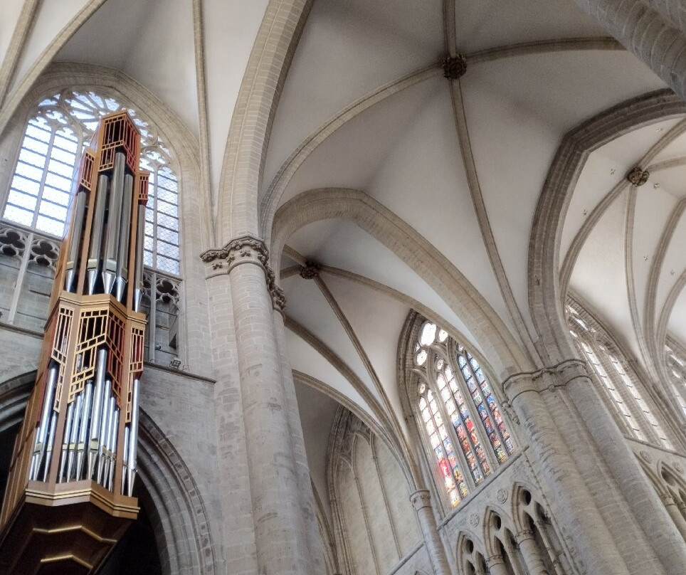 圣弥额尔圣古都勒主教座堂（Cathedrale St-Michel et Ste-Gudule）-布鲁塞尔必去景点