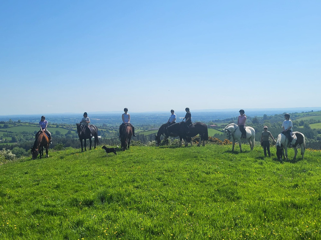 Tipperary Mountain Riding Centre-Thurles必去景点