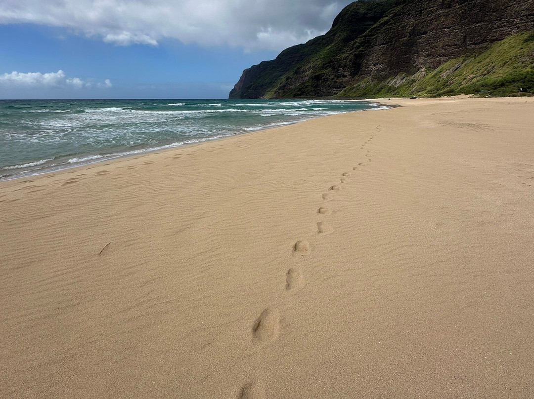 Polihale State Park-威美亚必去景点