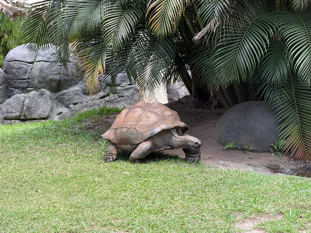Australia Zoo-Beerwah必去景点