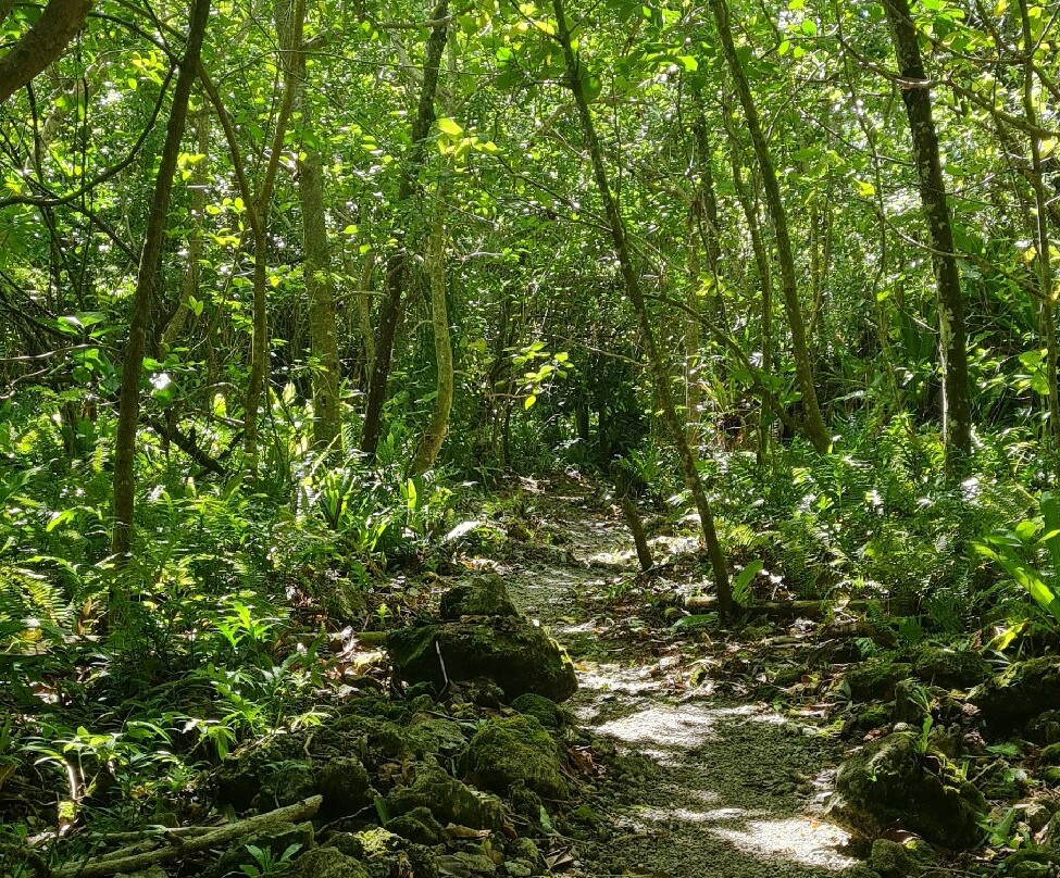 Matapa Chasm-阿洛菲必去景点