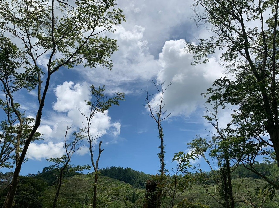 Seethawaka Wet Zone Botanic Gardens-Avissawella必去景点