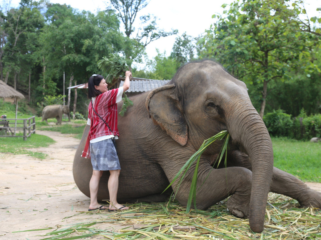 Karen Tribe Native Elephant-清迈必去景点