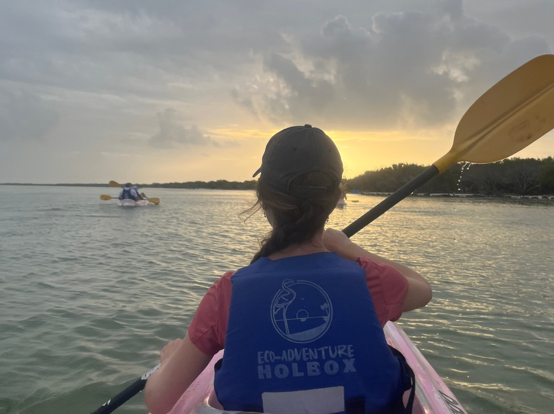 My Holbox Tours-Holbox必去景点