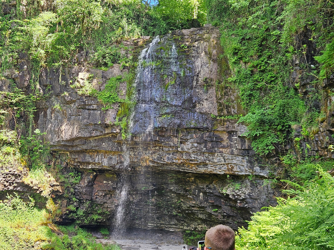 Henrhyd Falls-Coelbren必去景点