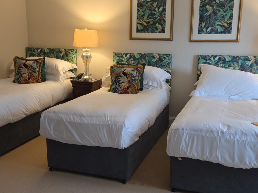 Castlewood House Dingle主图