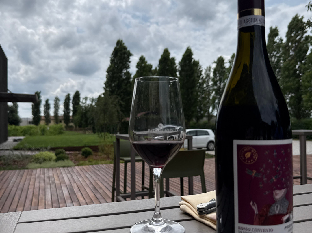 Cantina Pizzolato Società Benefit - Organic Wine Experience-维洛尔巴必去景点
