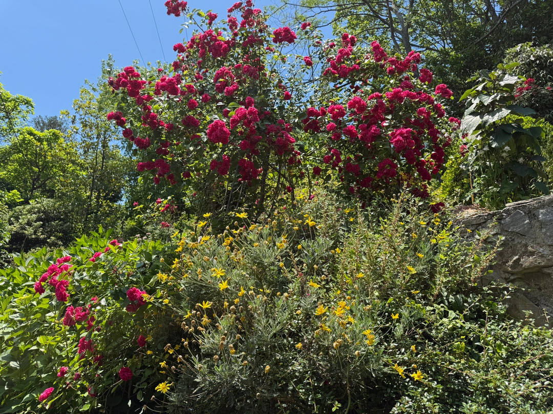 Serpentin Organic Garden-Tsagkarada必去景点