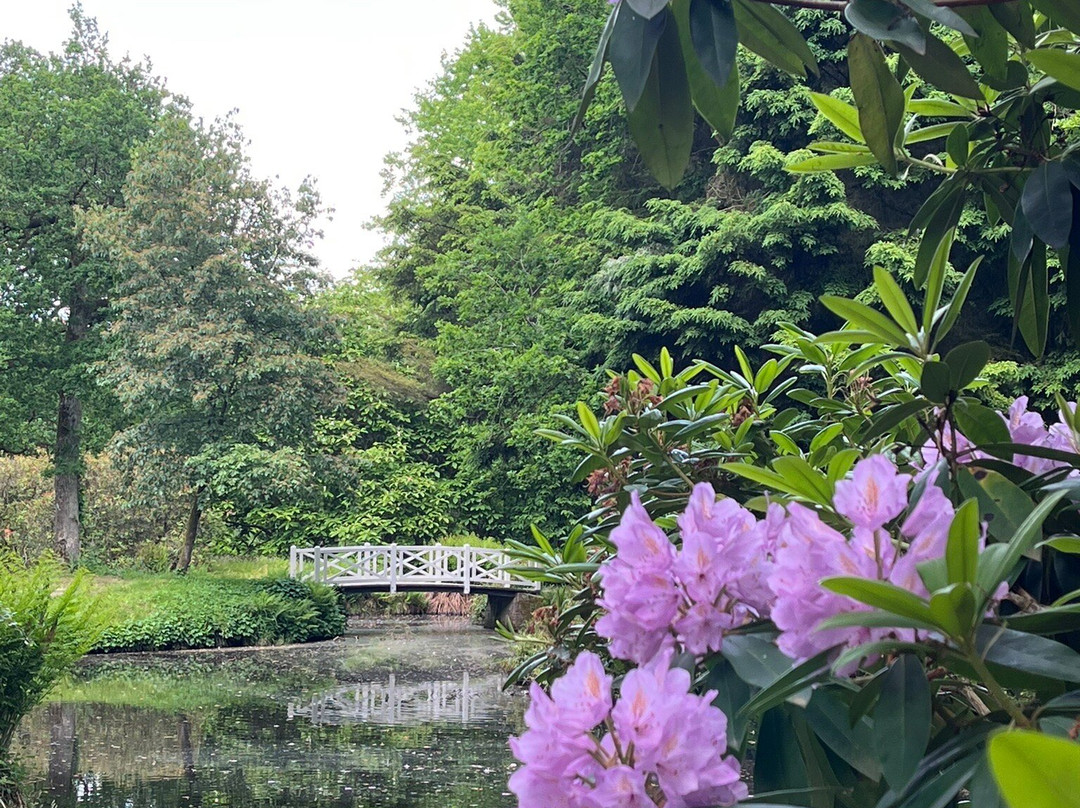 Schlosspark Lütetsburg-Luetetsburg必去景点