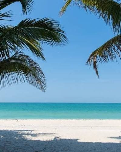 Englewood Beach-恩格尔伍德必去景点