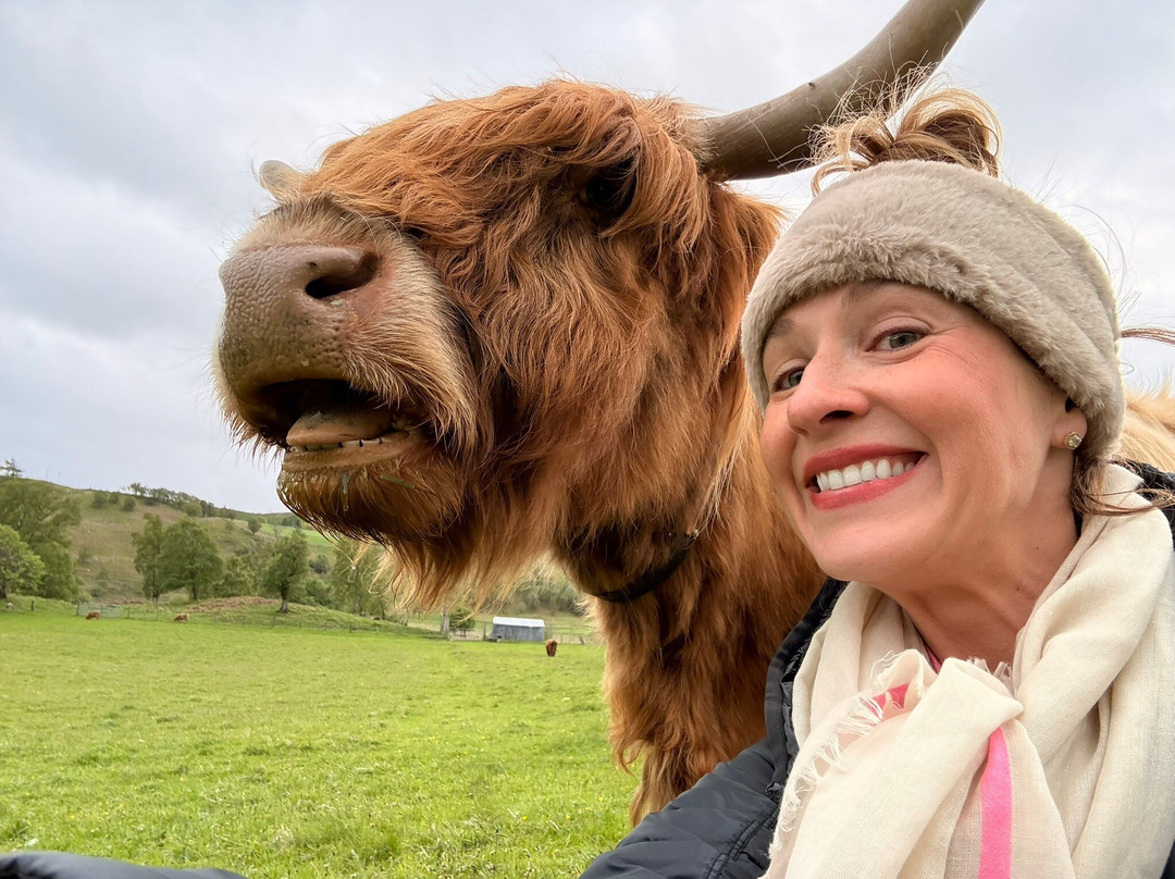 Spey River Farm-Newtonmore必去景点