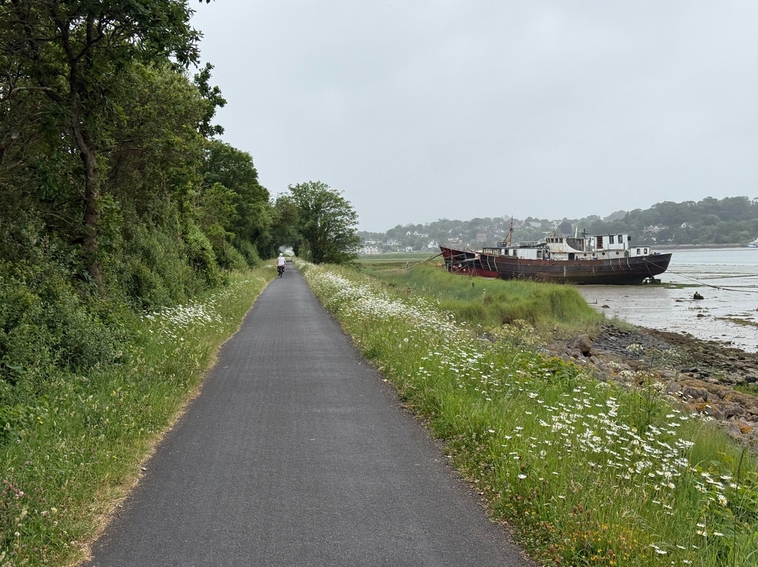 Tarka Trail Cycle Hire-巴恩斯特珀尔必去景点