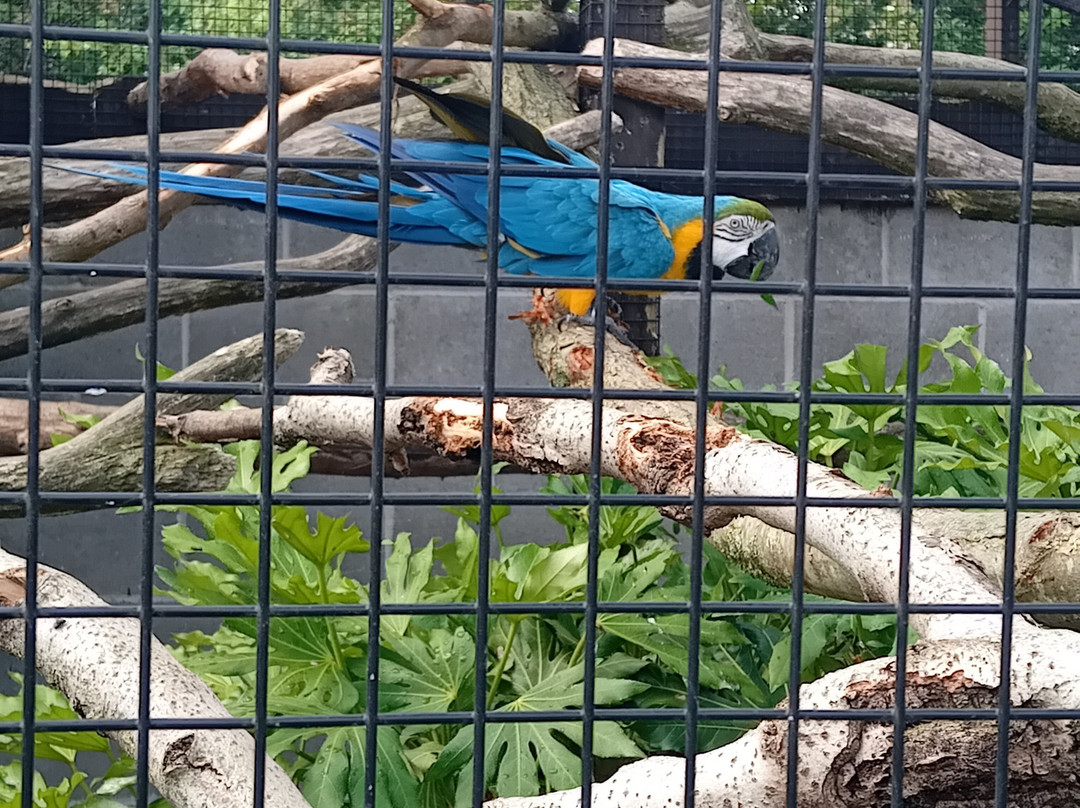 Filey Zoo-Filey必去景点