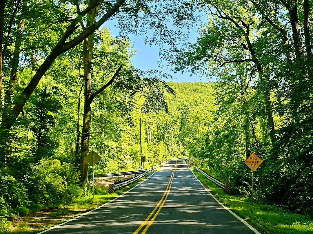 Clark Bridge over Deer Creek-Street必去景点